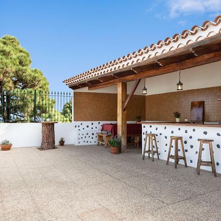 Finca La Vizcondesa 伊科德·德·洛斯·维诺斯 外观 照片