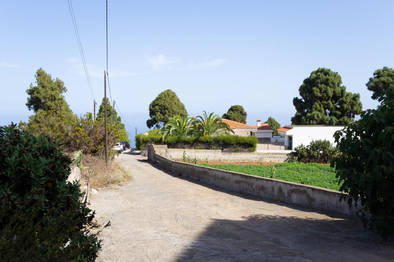Finca La Vizcondesa 伊科德·德·洛斯·维诺斯 外观 照片
