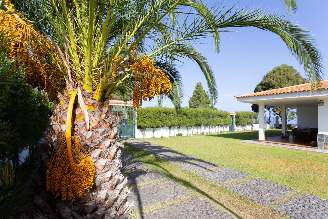 Finca La Vizcondesa 伊科德·德·洛斯·维诺斯 外观 照片