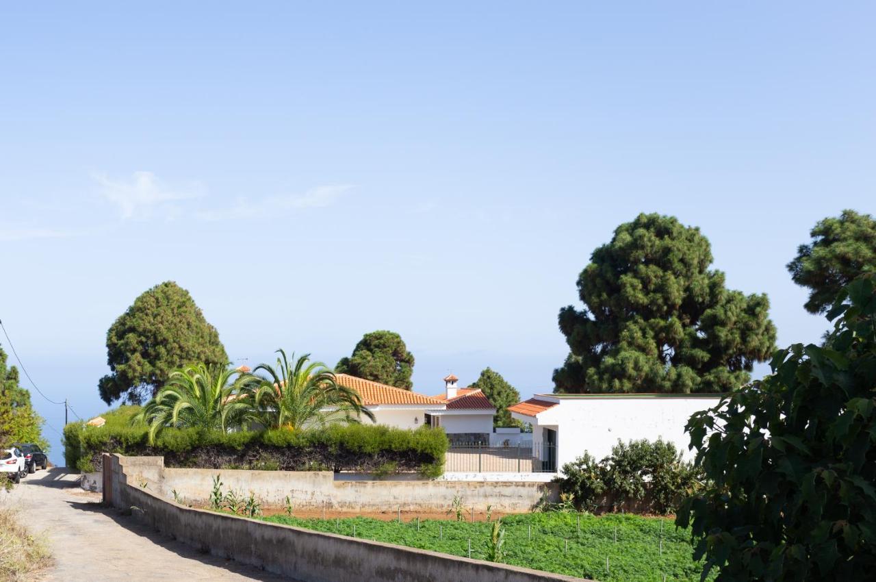 Finca La Vizcondesa 伊科德·德·洛斯·维诺斯 外观 照片